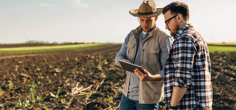 Agronegócio emprega 28,2 milhões de pessoas e bate recorde histórico, aponta Cepea/CNA