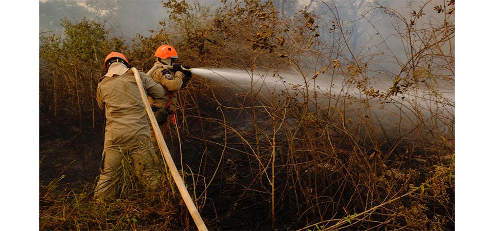 Autor de homicídio que ateou fogo na vítima é preso pela Polícia Civil