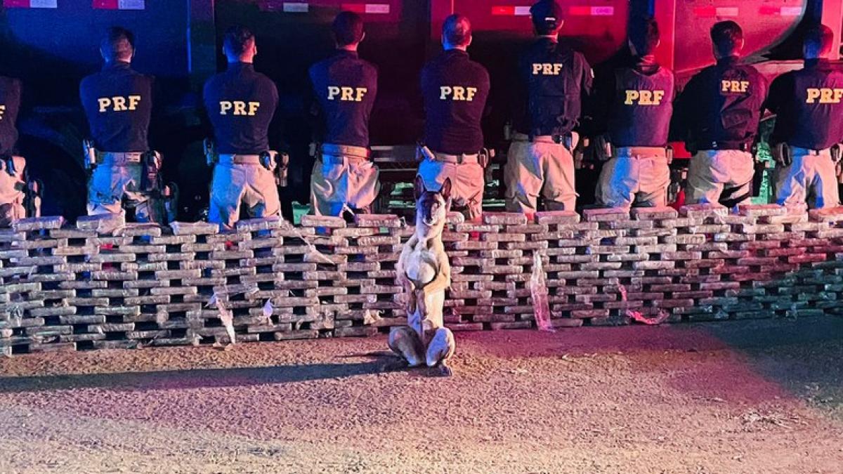 PRF apreende mais de R$ 100 milhões em cocaína em MT