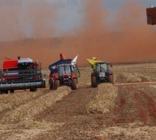 Previsão de safra recorde de grãos sobe e atinge 242 milhões de toneladas
