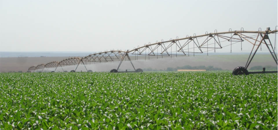 “Irrigação vai transformar a agricultura de Mato Grosso”, diz especialista