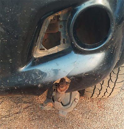 Itanhangá: Cachorros soltos pelas ruas causam acidente e preocupam a população