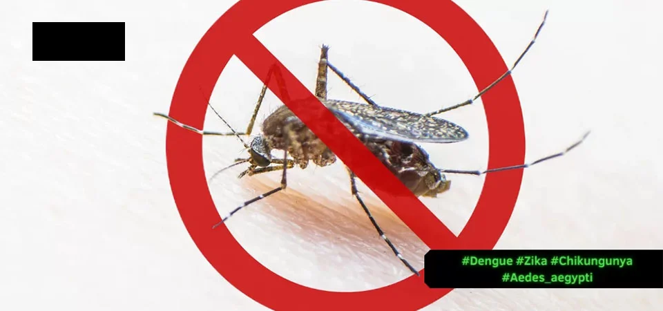 Itanhangá: Secretaria De saúde alerta para o aumento dos casos de dengue e chikungunya