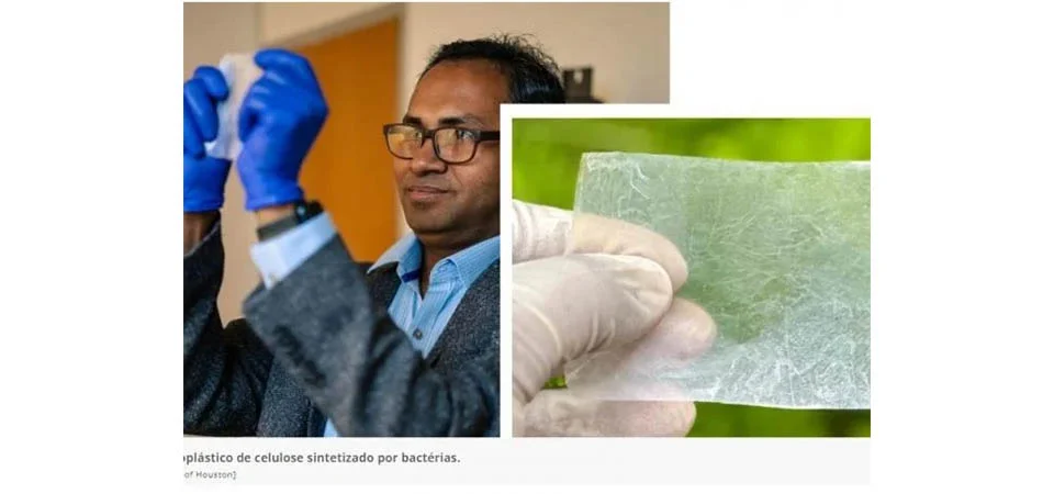 Finalmente um substituto para o plástico?