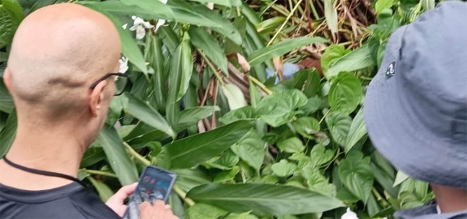 Homem de 29 anos é encontrado morto após desaparecer em região de mata