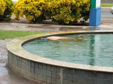 Homem é achado morto no chafariz de praça em cidade do agro