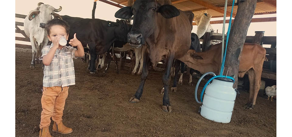 Técnicos da Empaer ajudam pais de criança com intolerância à lactose que consome leite de vaca