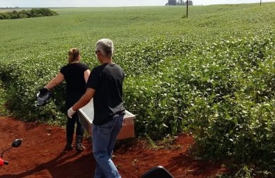 Homem é achado morto com marcas de tiros em matagal