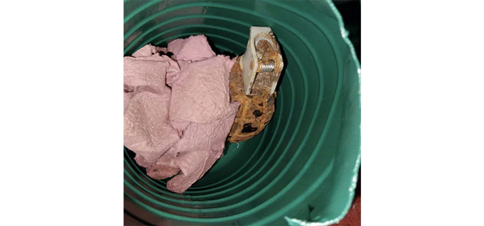 Criança encontra e leva para casa granada sem pino