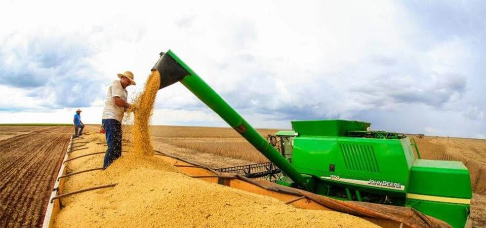 Brasil deve ampliar área de soja e ter safra recorde de grãos em 2025/26