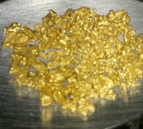 Criminosos invadem garimpo, rendem vítimas e levam ouro avaliado em R$ 23 mil no Nortão