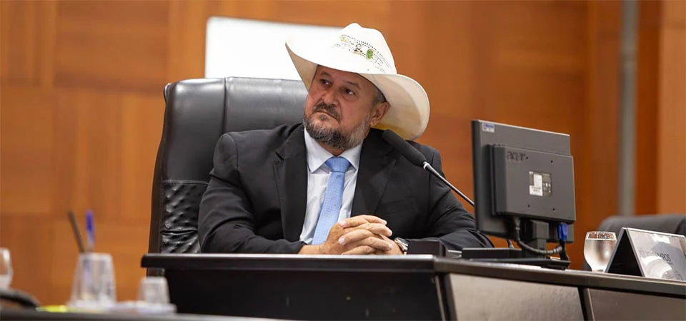 Cattani cria Comissão Especial de Defesa da Mulher com foco no combate ao feminicídio em MT