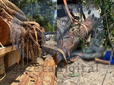 Jovem morre esmagado por tora em fazenda