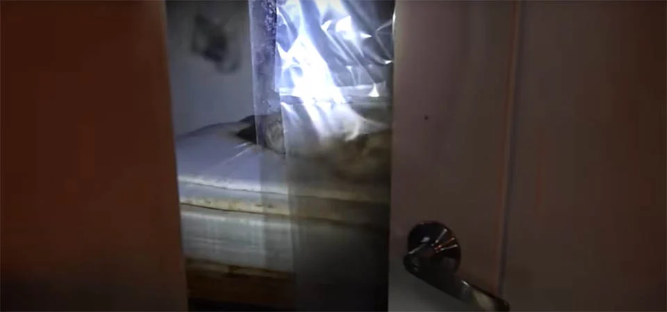 Coreia do Sul vive onda de youtubers descobrindo corpos em casas abandonadas