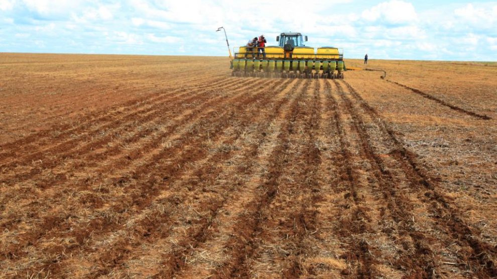Custo da produção de soja em Mato Grosso tem novo aumento