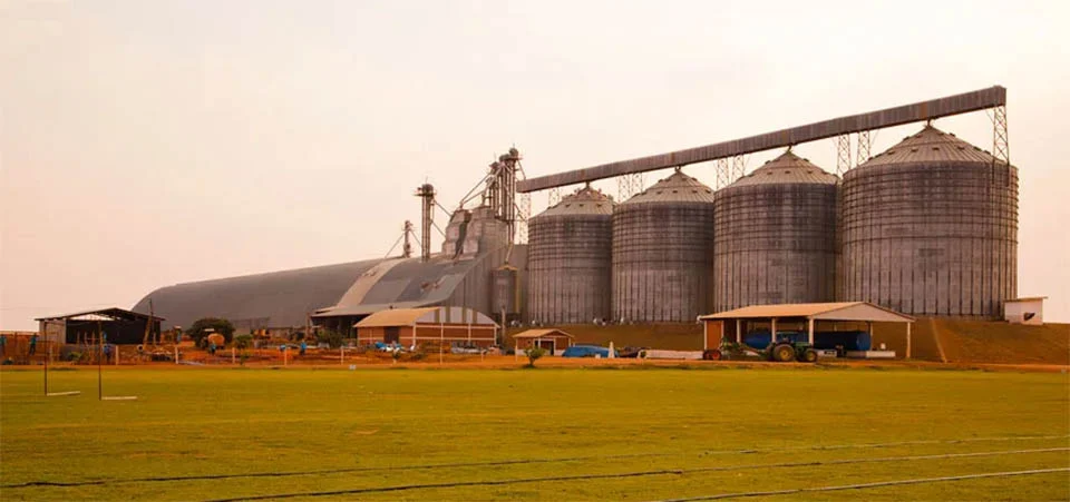 Brasil colhe mais, mas ainda perde 10% dos grãos no armazenamento