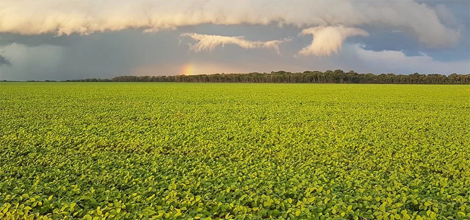 Aprosoja MT pede a revogação da taxa sobre irrigação e alerta para o sequestro da renda de produtores