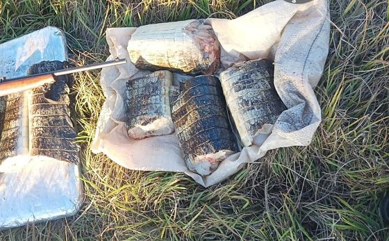 Dupla é flagrada com 17 kg de carne de jacaré, rifle e redes proibidas