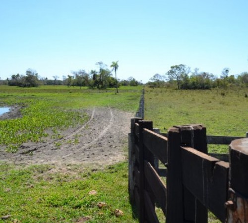 Inicia hoje o prazo para a entrega da declaração do ITR