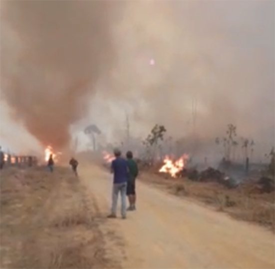 Itanhangá: Os prejuízos causados pelo fogo em tempos de seca. Vídeo