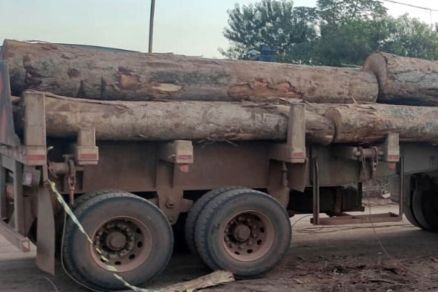 Trabalhador morre ao ser atingido por tora de madeira em empresa