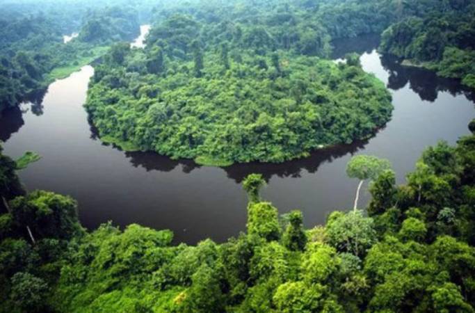 Escrituras de 1906 são anuladas após descoberta de fraude bilionária no Parque do Cristalino