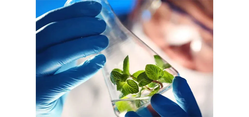 Brasil bate recorde no registro de bioinsumos e defensivos em 2025