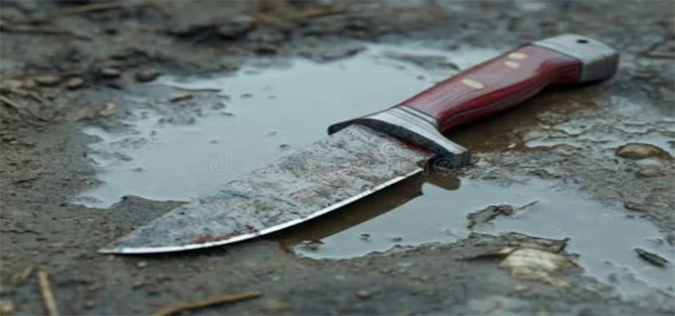 Homem é esfaqueado pela companheira durante briga