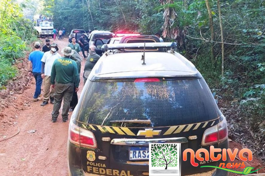 Fazendeiro é acusado de estimular garimpo ilegal em suas terras