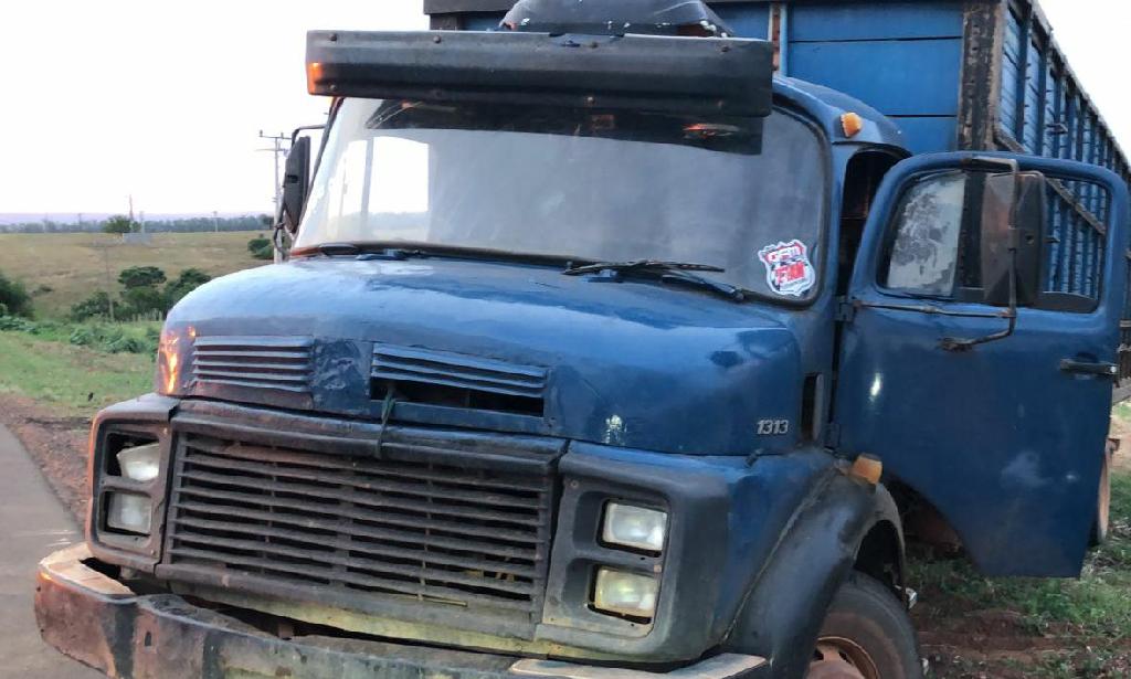 Polícia Militar prende suspeito e recupera 48 cabeças de gado furtadas