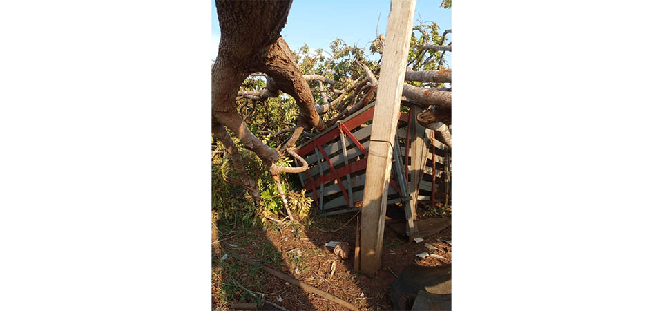 Itanhangá: Vendaval derruba árvores, destelha casas, barracões e destrói maquinários agrícolas. Fotos e vídeo