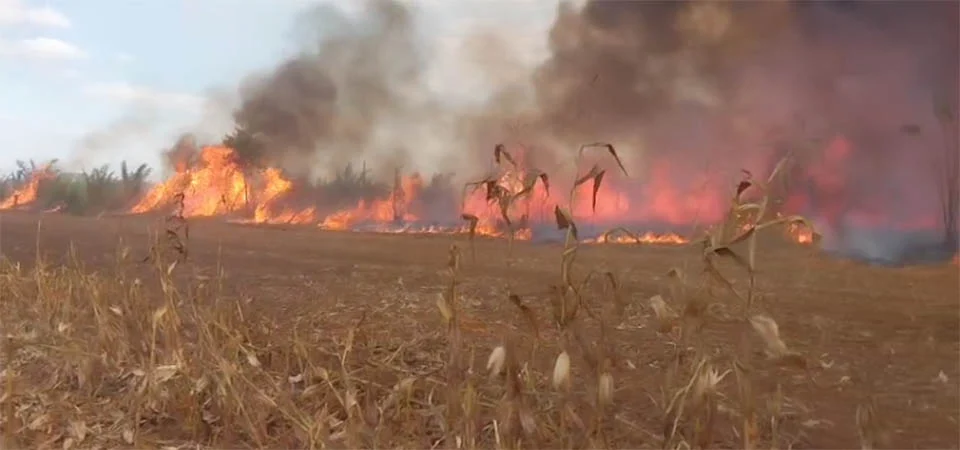 Começou o período proibitivo de queimadas em Mato Grosso