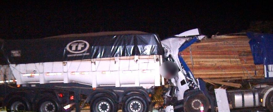 Motorista é esmagado por carga de madeira ao colidir com caminhão