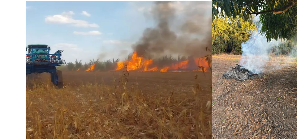 Queimadas em Itanhangá: Um alerta à população sobre os riscos e a legislação vigente. Vídeo