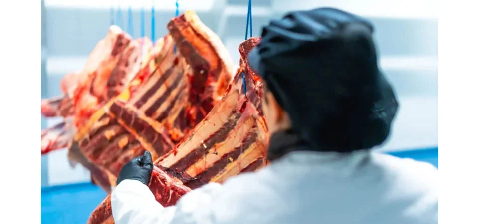 Mato Grosso expande presença global com carne bovina, suína e de frango