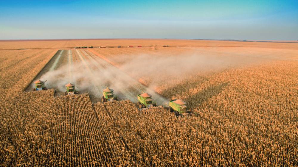 Inovação e regras previsíveis são essenciais para a competitividade do agronegócio