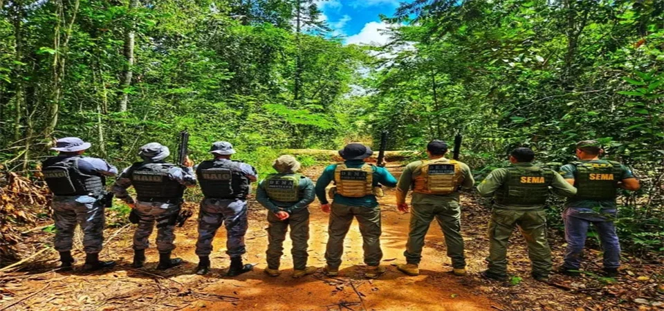 Polícia Civil apreende carga milionária de madeira ilegal