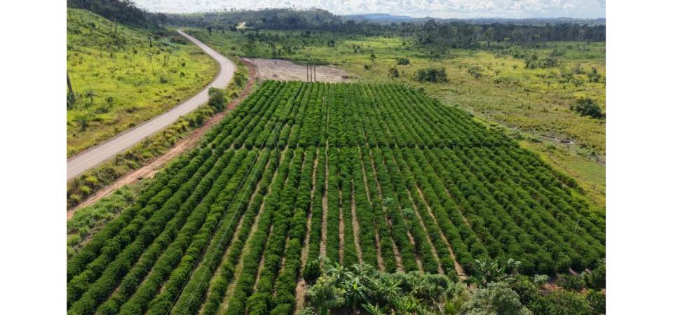 Itanhangá: Seaf inicia mobilização do MT Produtivo em 61 municípios de Mato Grosso