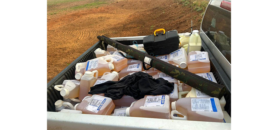 Itanhangá: Forças policiais mantem cerco a bandidos que roubaram fazenda