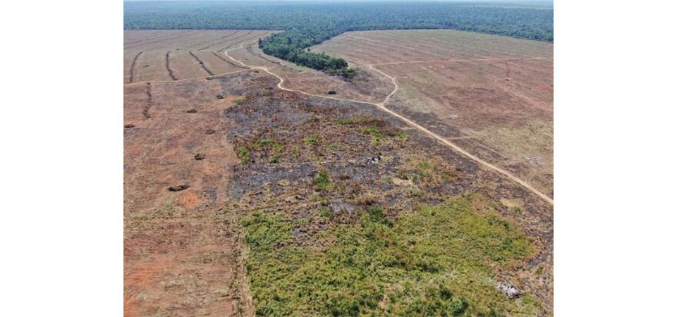 Justiça condena fazendeiro a pagar R$ 800 mil por desmate ilegal