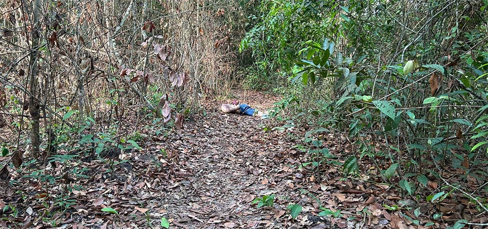 Jovem é encontrado morto, polícia investiga homicídio em suposto “tribunal do crime”