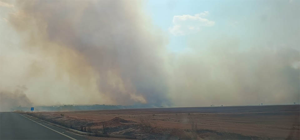 Falta de chuvas e calor preocupam produtor e podem ameaçar desenvolvimento da nova safra
