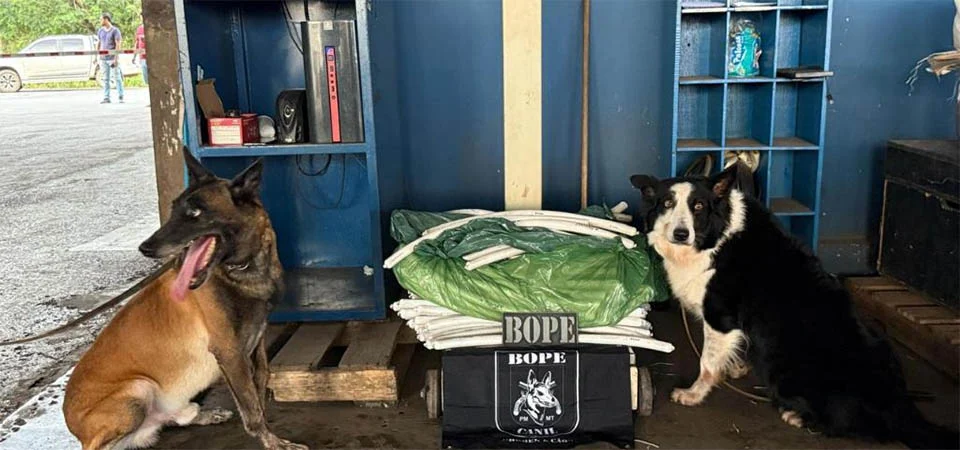 Bope apreende 49 quilos de explosivos em carga de transportadora