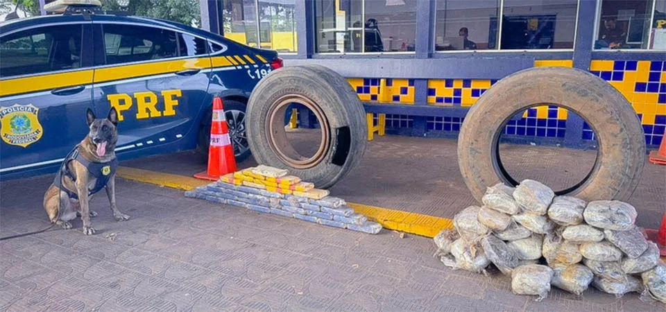 Cão da PRF localiza 65 quilos de drogas dentro de estepe de carreta
