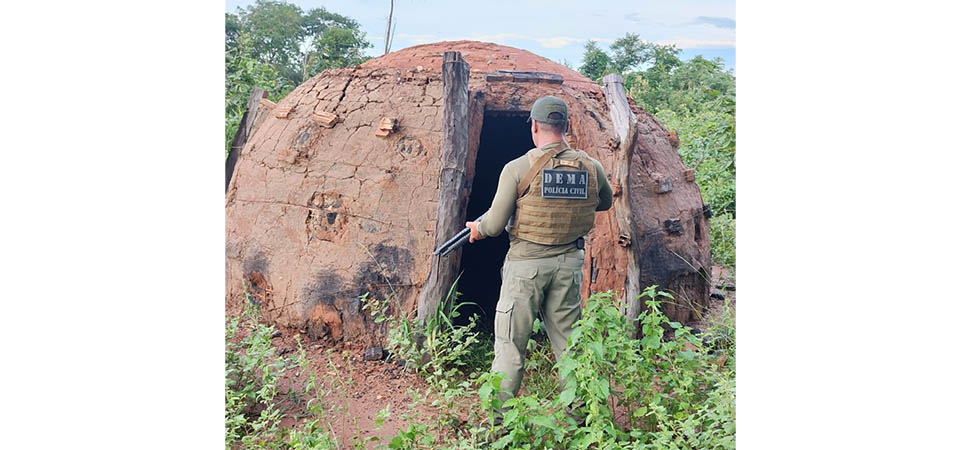 Polícia deflagra operação contra carvoaria ilegal por queima de madeira nativa