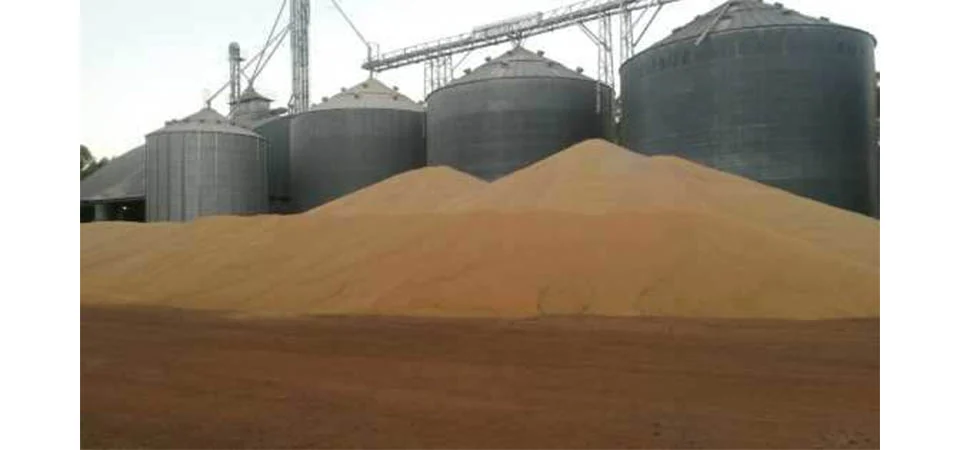 Homem é soterrado por grãos de soja e morre em armazém