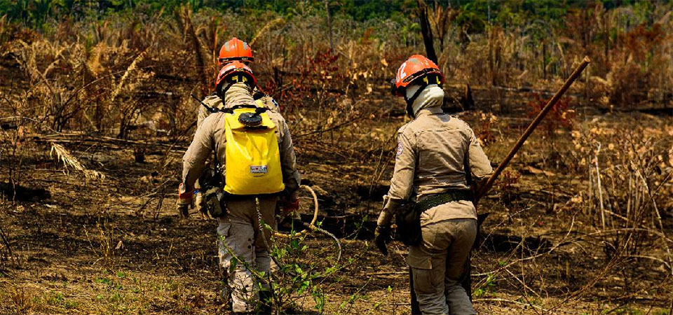 Governo de Mato Grosso lança Operação Abafa Amazônia 2022