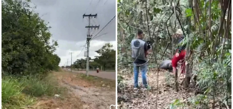Homem é encontrado morto sentado em mata