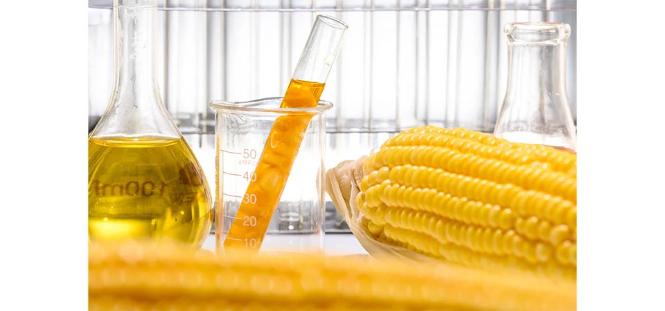 Etanol de milho cresce 20% ao ano e faz do Brasil o segundo maior produtor mundial