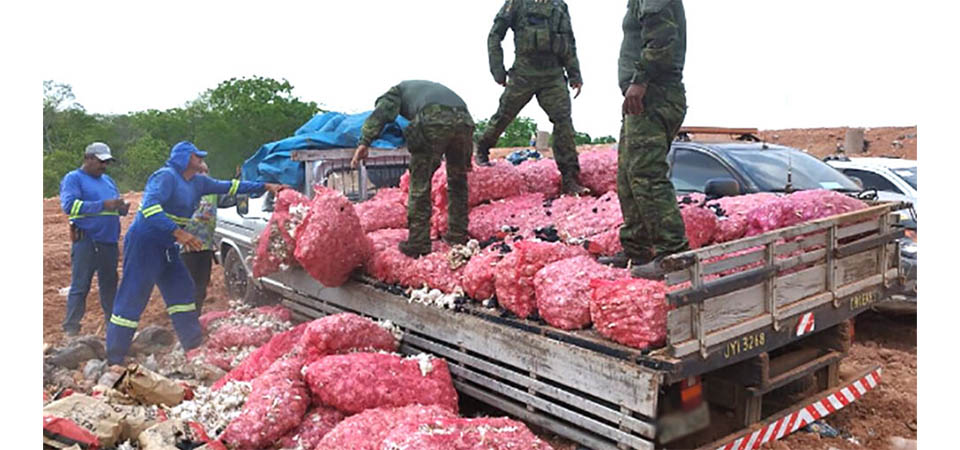 Indea destrói carga boliviana de alho e carvão apreendida em Mato Grosso